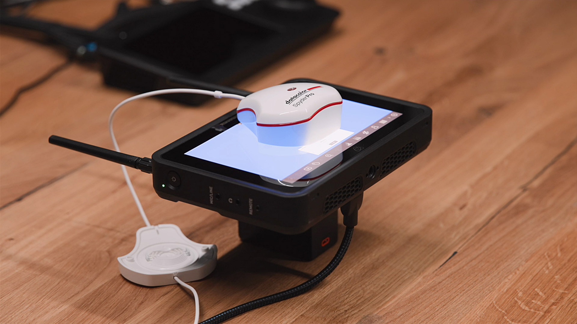 Datacolor: neue SpyderPro-Softwareversion mit LightColor Meter-Integration