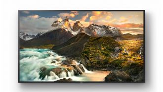 Sony FWD-100ZD9501 front web