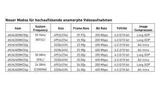 GH5 anomorphe Videomodi web