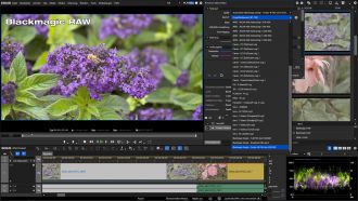 edius 9 50 bmraw web