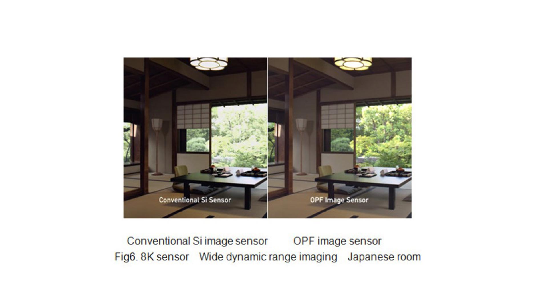 panasonic opf vergleich web