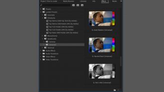 Adobe Premiere Pro DynamicLumetriPresets