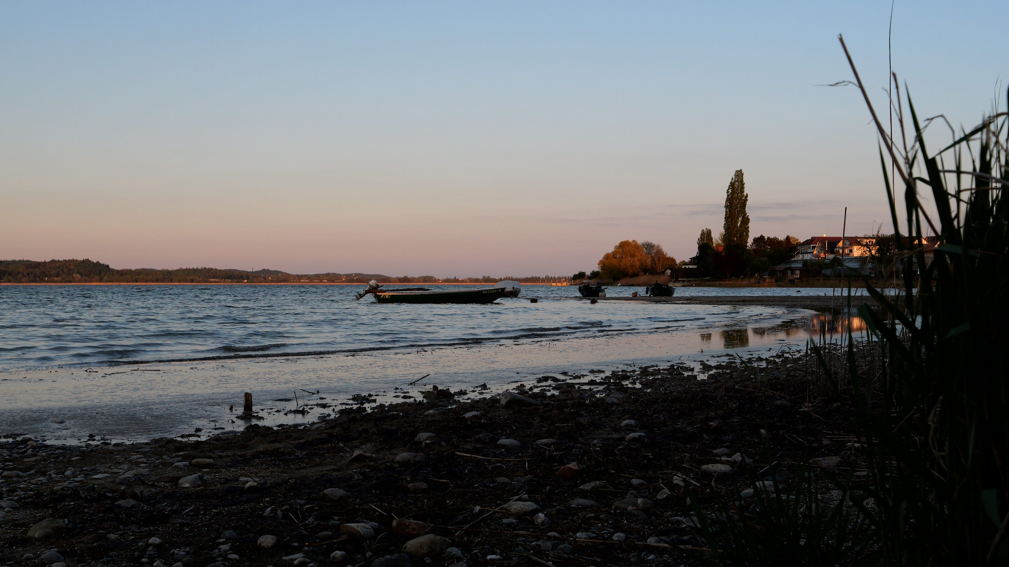 Standard ISO 800