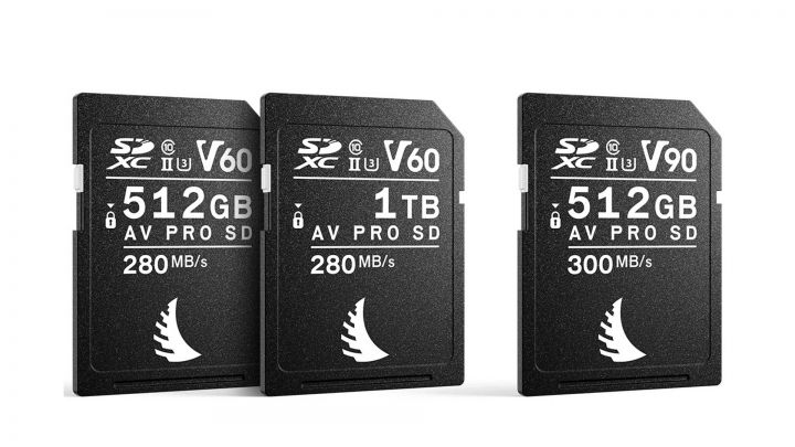 Angelbird AV PRO SD MK2 V60, AV PRO SD MK2 V90: neue UHS-II-SDXC-Karten mit bis zu 1 TB