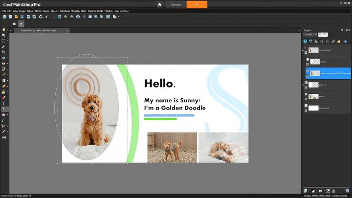 Corel PaintShop Pro 2023 frame tool web