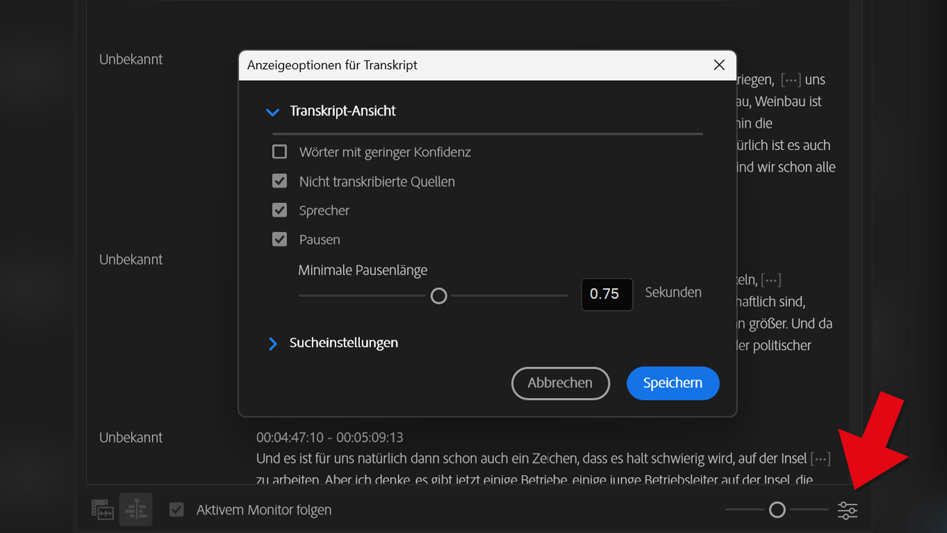 Premiere Pauseneinstellungen