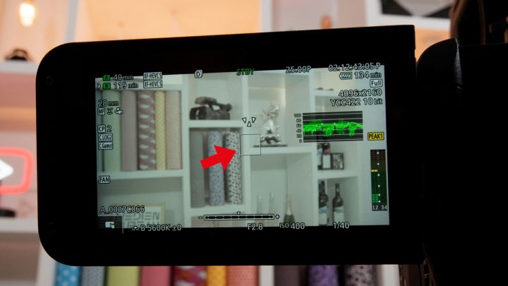 Canon C80 Display
