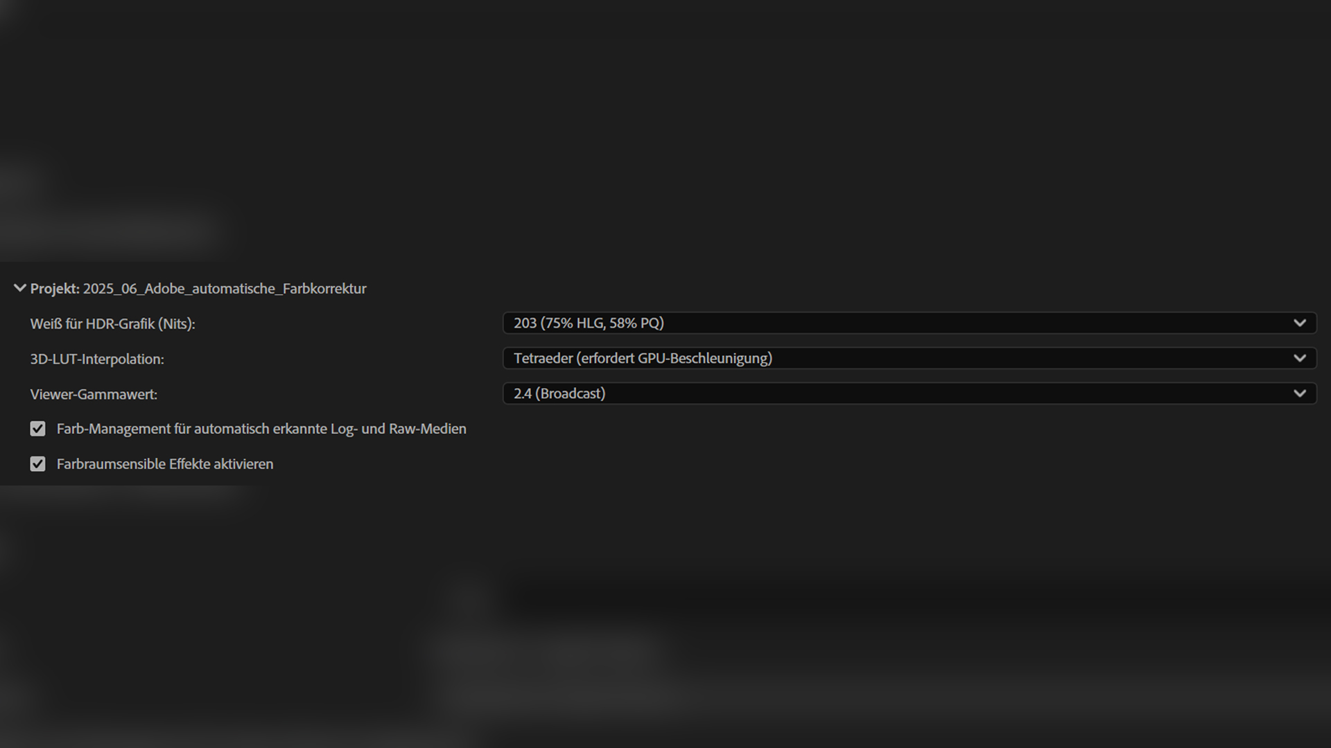 Premiere Pro Autokorrektur Projekteinstellungen