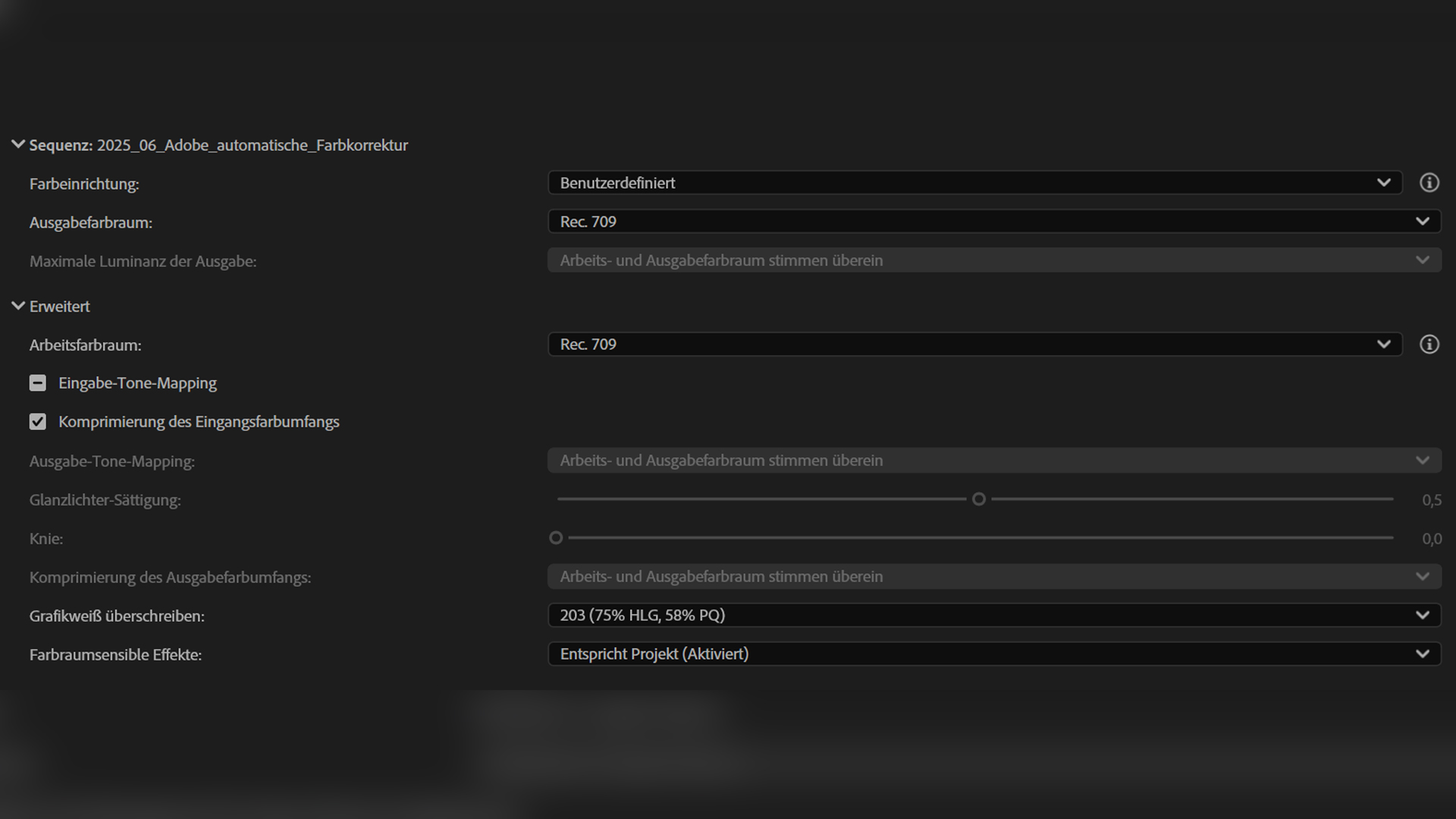 Premiere Pro Autokorrektur Sequenzeinstellungen