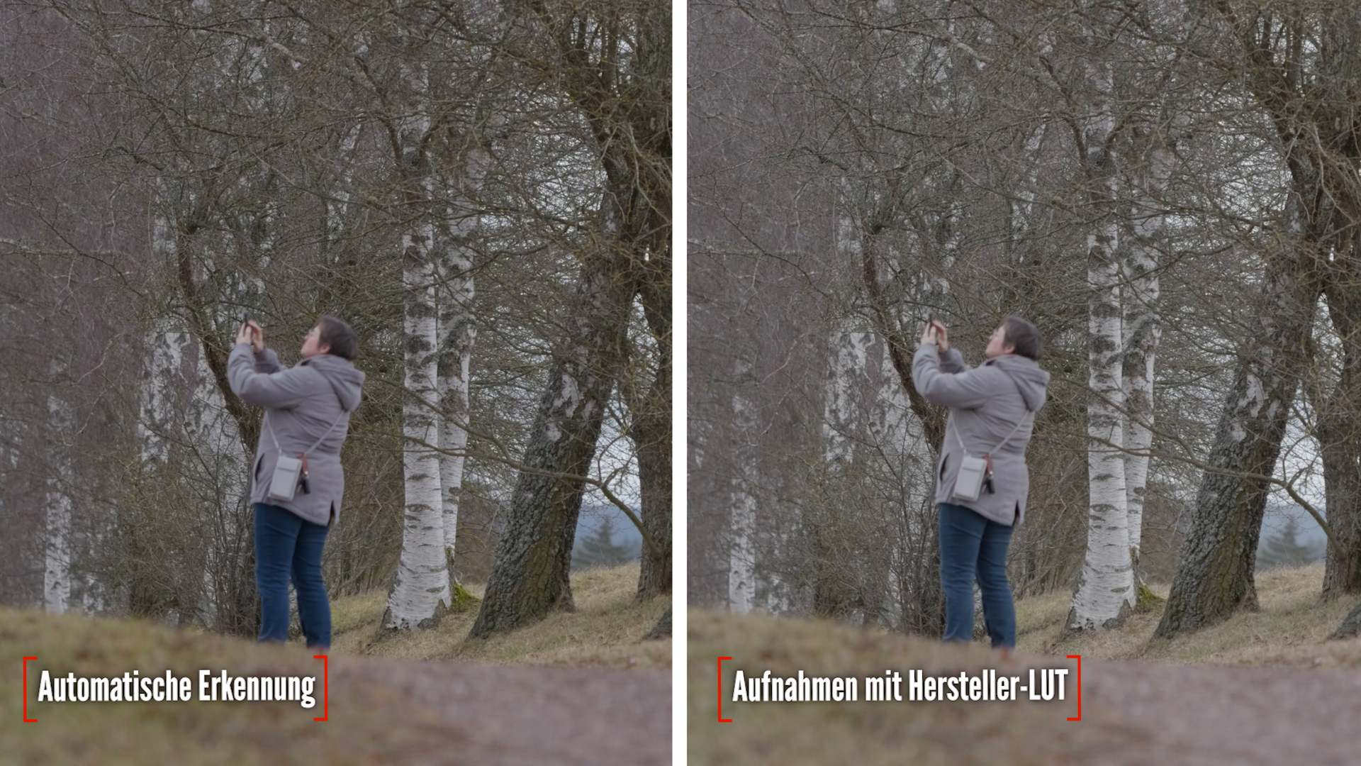 Premiere Pro Autokorrektur Vergleich