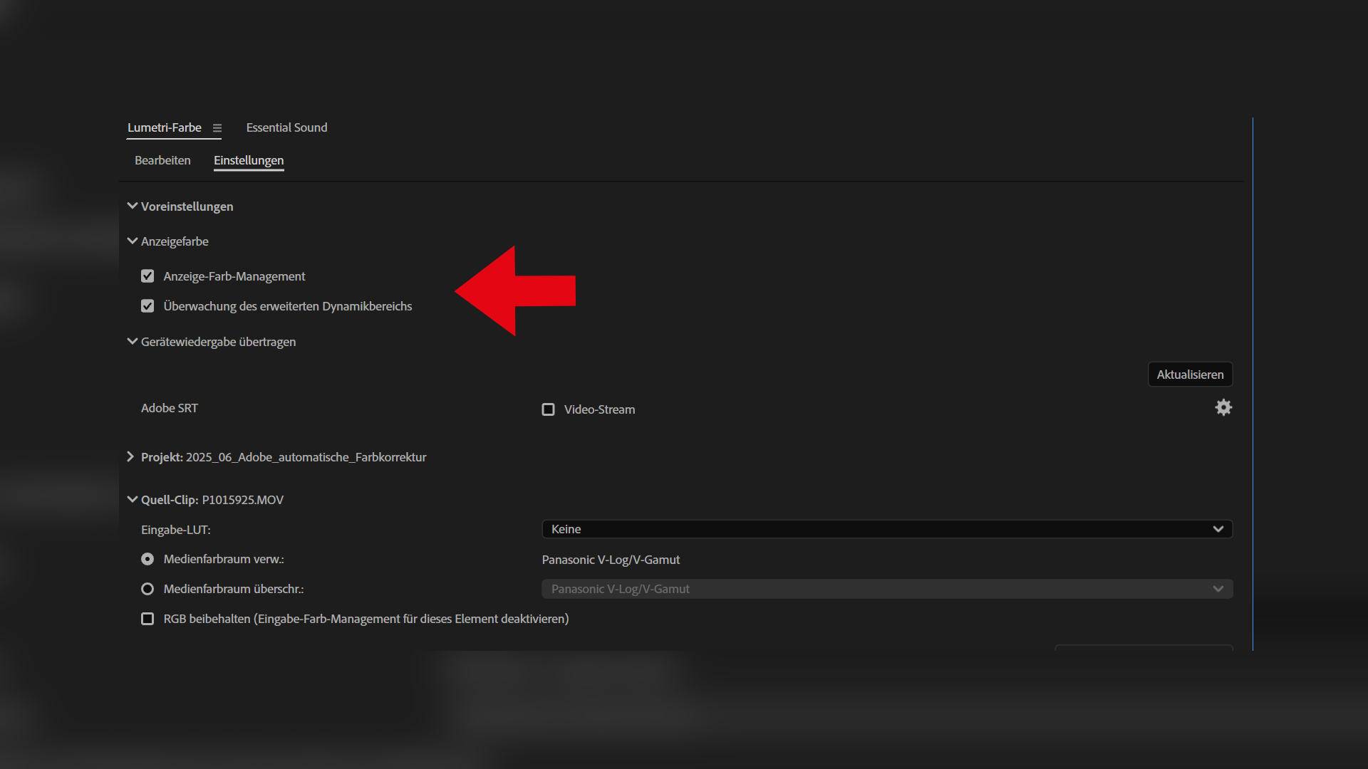 Premiere Pro Autokorrektur Voreinstellungen