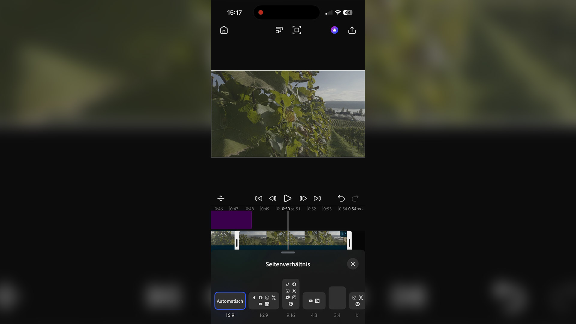 Adobe PremiereApp Pro Effekte Formate