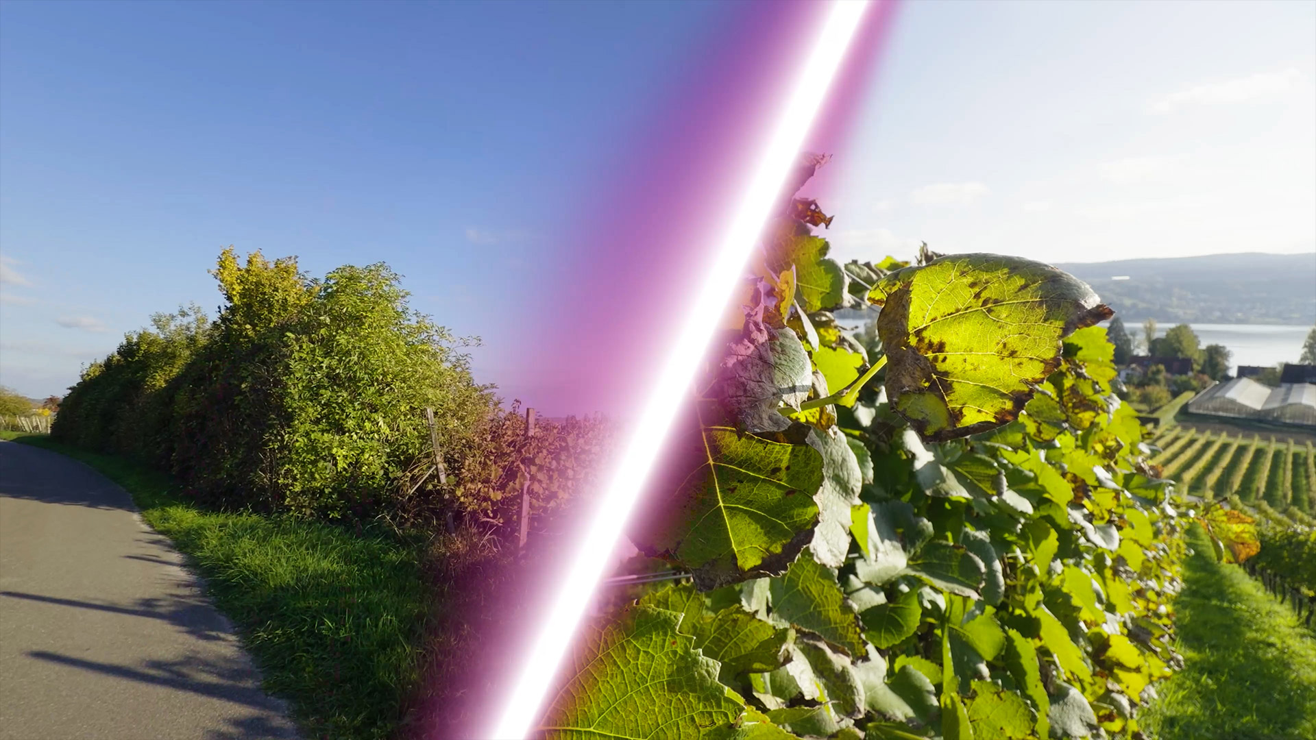 Adobe PremiereApp Pro Effekte Neon Wipe