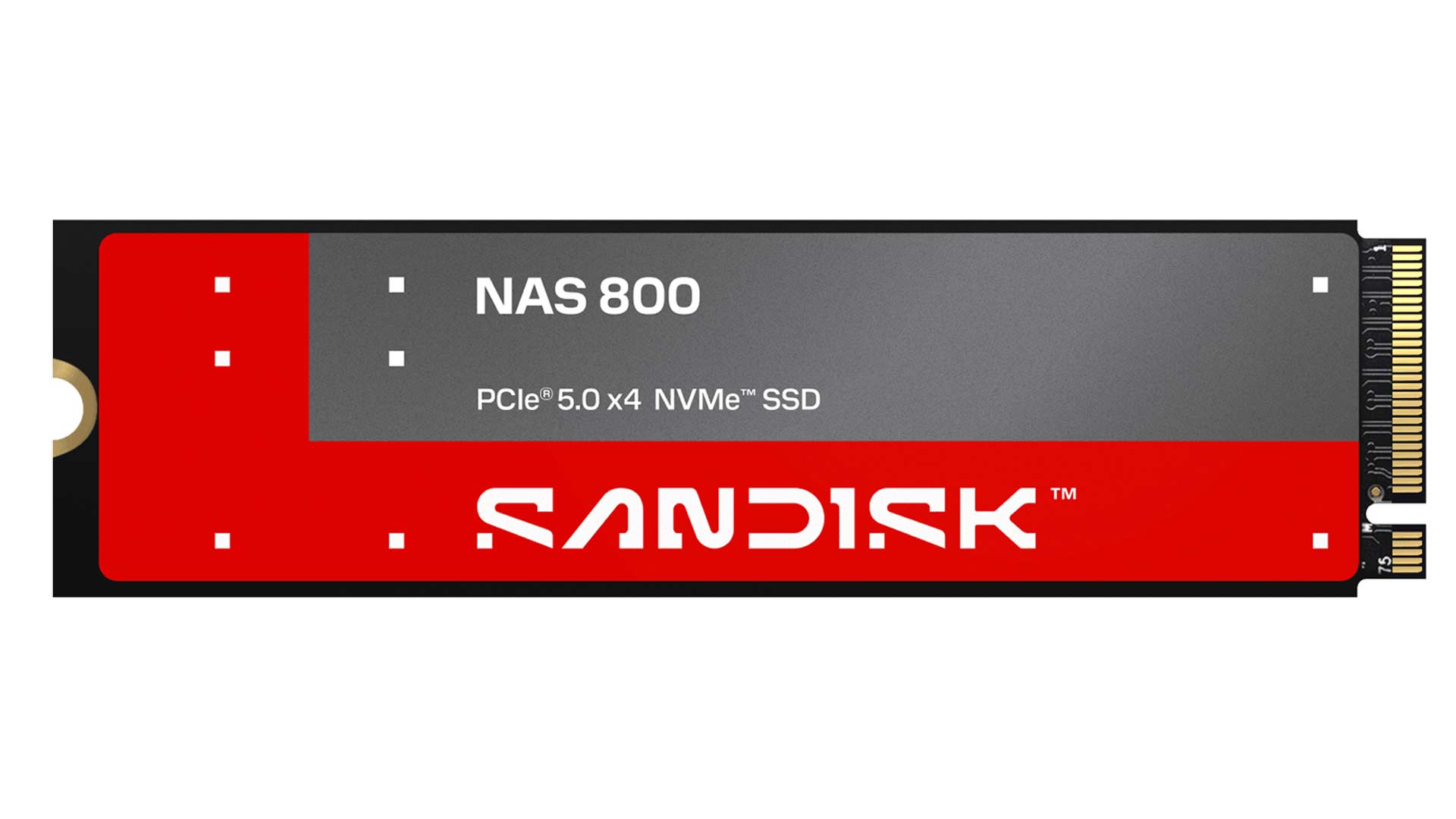 Sandisk NAS 600 SATA und NAS 800 NVMe: SSDs für NAS-Systeme Sandisk NAS 600 SATA und NAS 800 NVMe: SSDs für NAS-Systeme