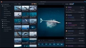 OWC investiert in Strada: lokale Videodateien teilen