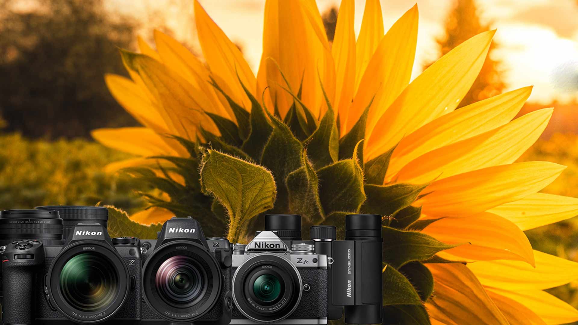 Nikon: Sommer-Sofort-Rabatt-Aktion